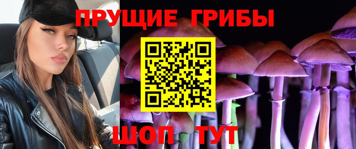 Ялуторовск  где купить   Вход с VPN  Псилоцибиновые грибы Psilocybe 